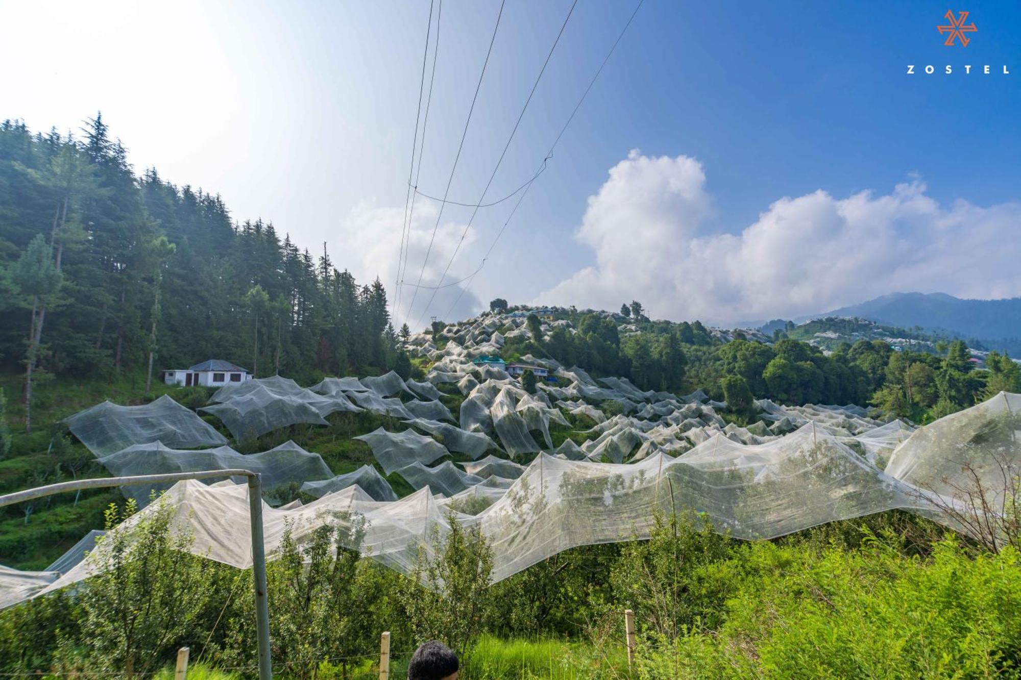 Zostel Kotgarh, Narkanda ภายนอก รูปภาพ